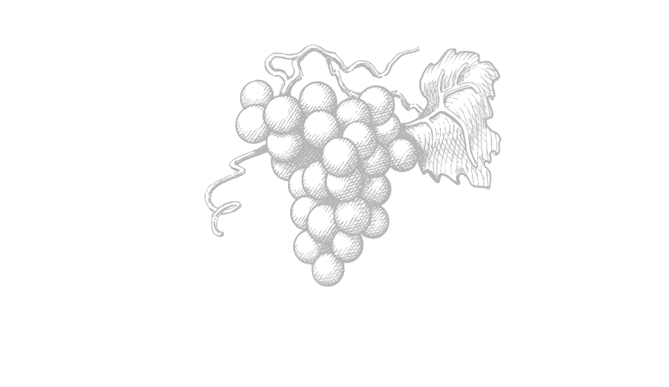 Grape Cluster Illustration for Gallo Label