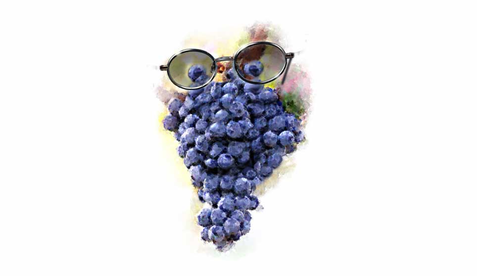 Happy Grapes Illustration